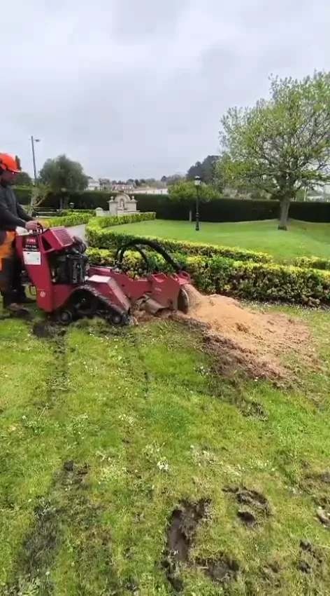 Operario utilizando maquinaria para trabajar un tocón en un jardín